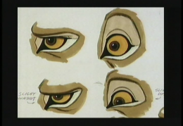 Adult Simba eye close-up