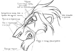 Scar profile head construction [unofficial]